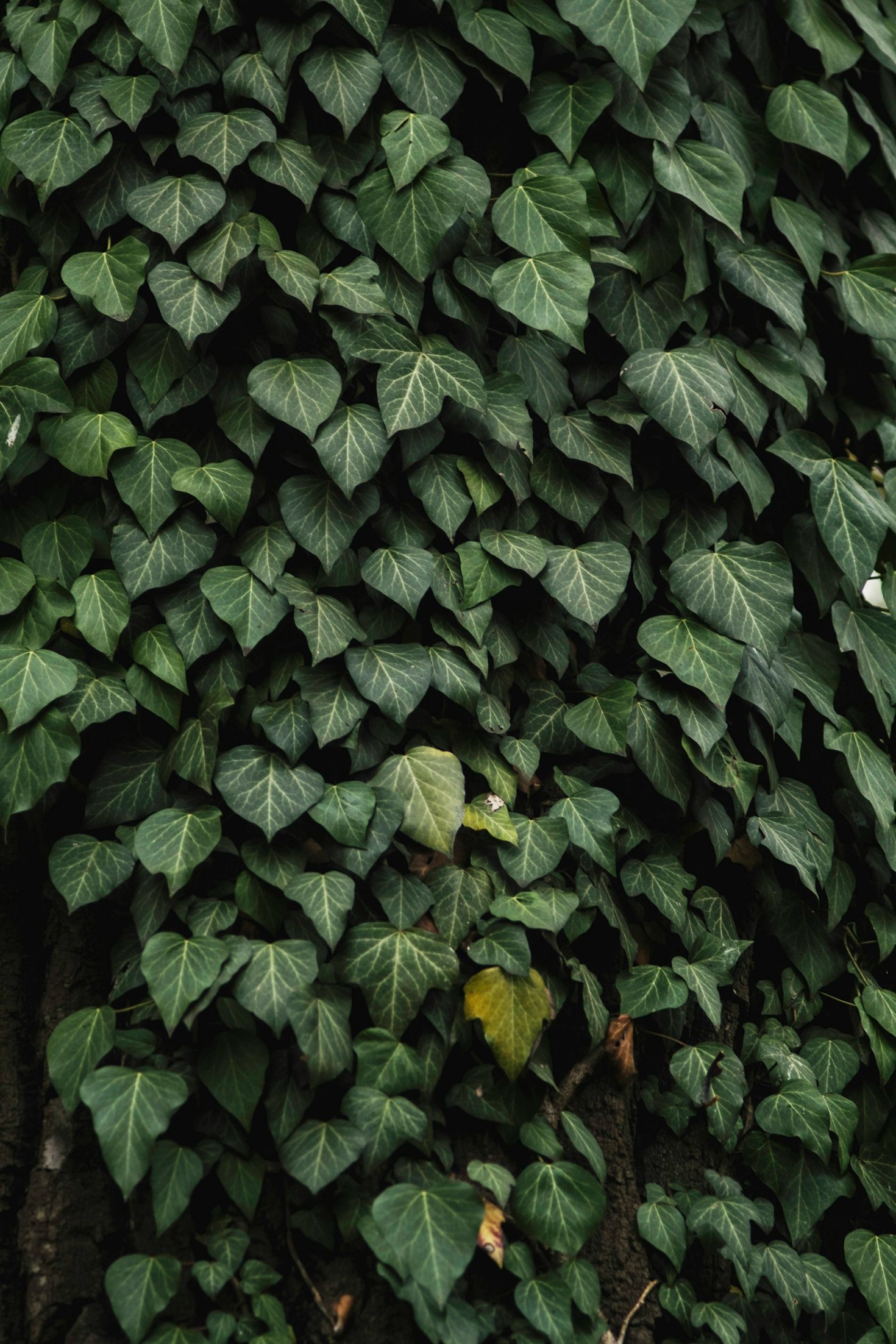 10 Simple Ways to Embrace Sustainable Living