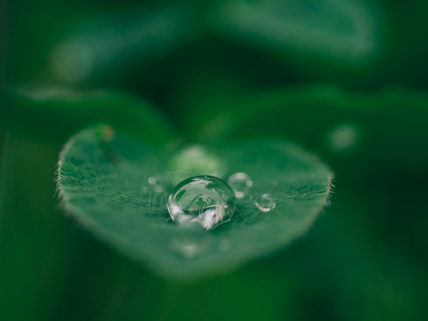 The Environmental Benefits of a Minimalist Lifestyle