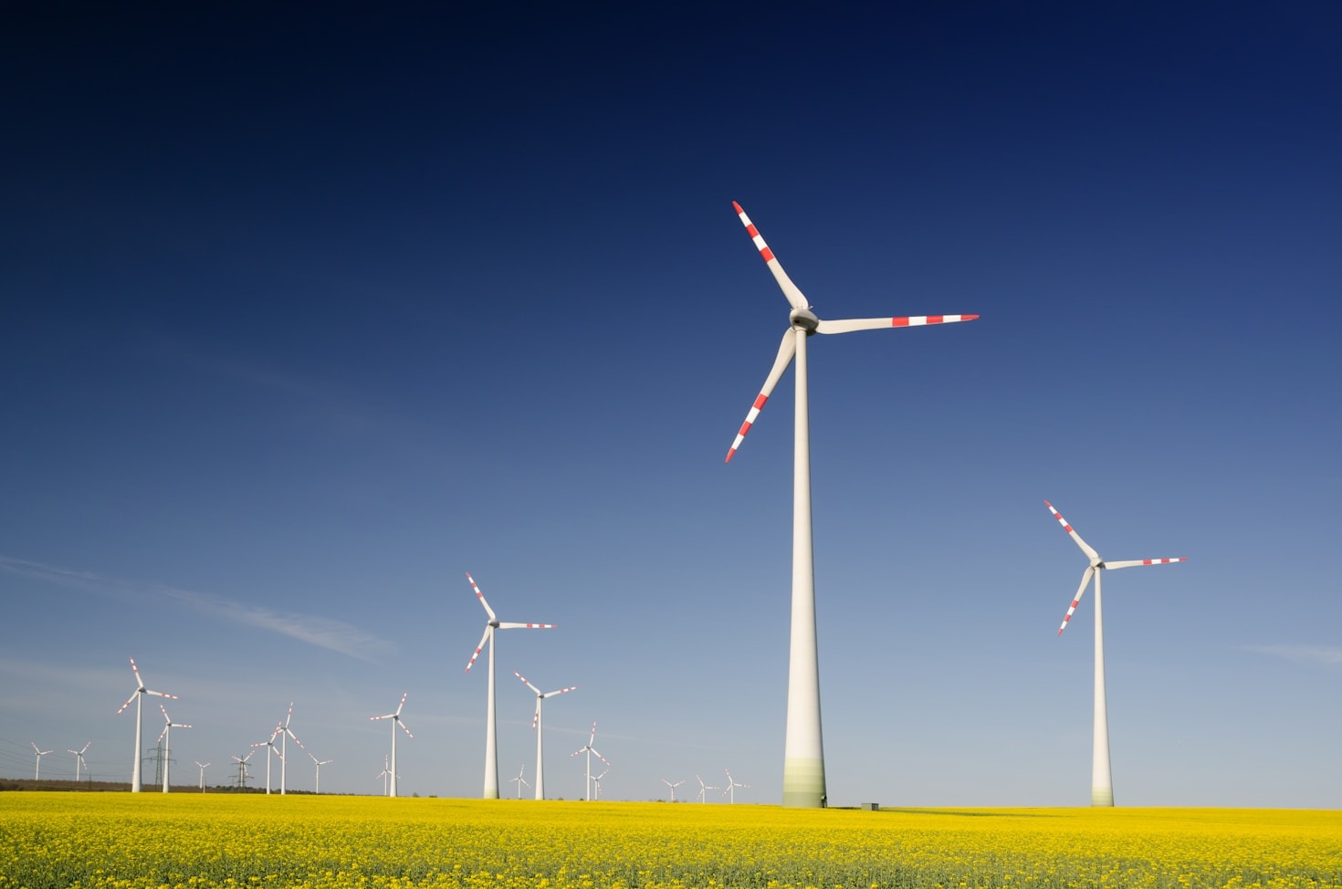 How to Transition to Eco-Friendly Living